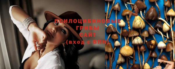 тгк Бутурлиновка