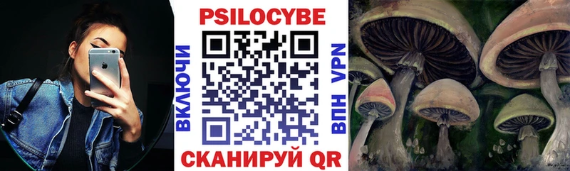Галлюциногенные грибы мицелий  купить   Клин 