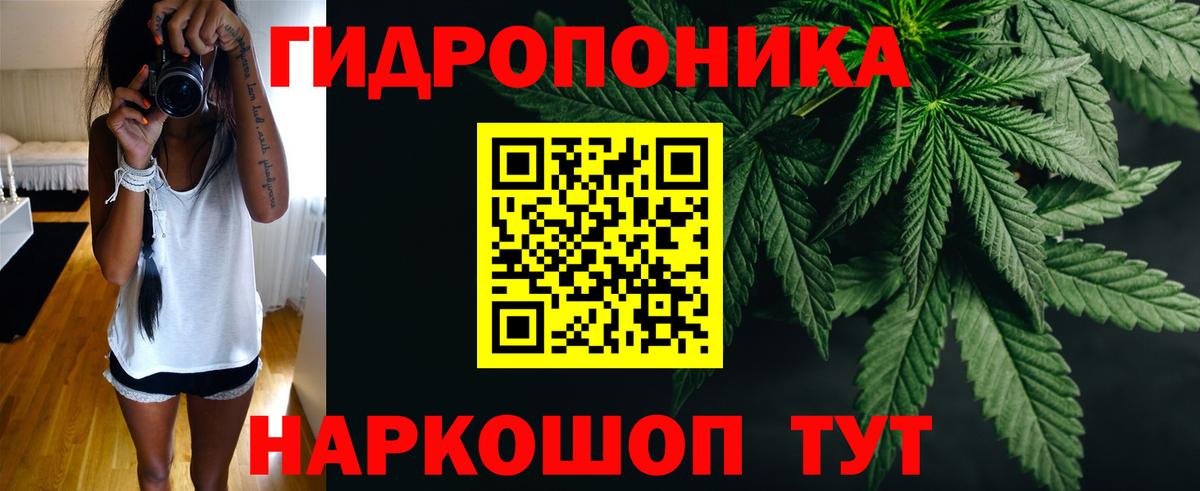 Клин  Каннабис планчик  Марихуана марихуана  МАРИХУАНА THC 21%  Марихуана AK-47  Вход с VPN 